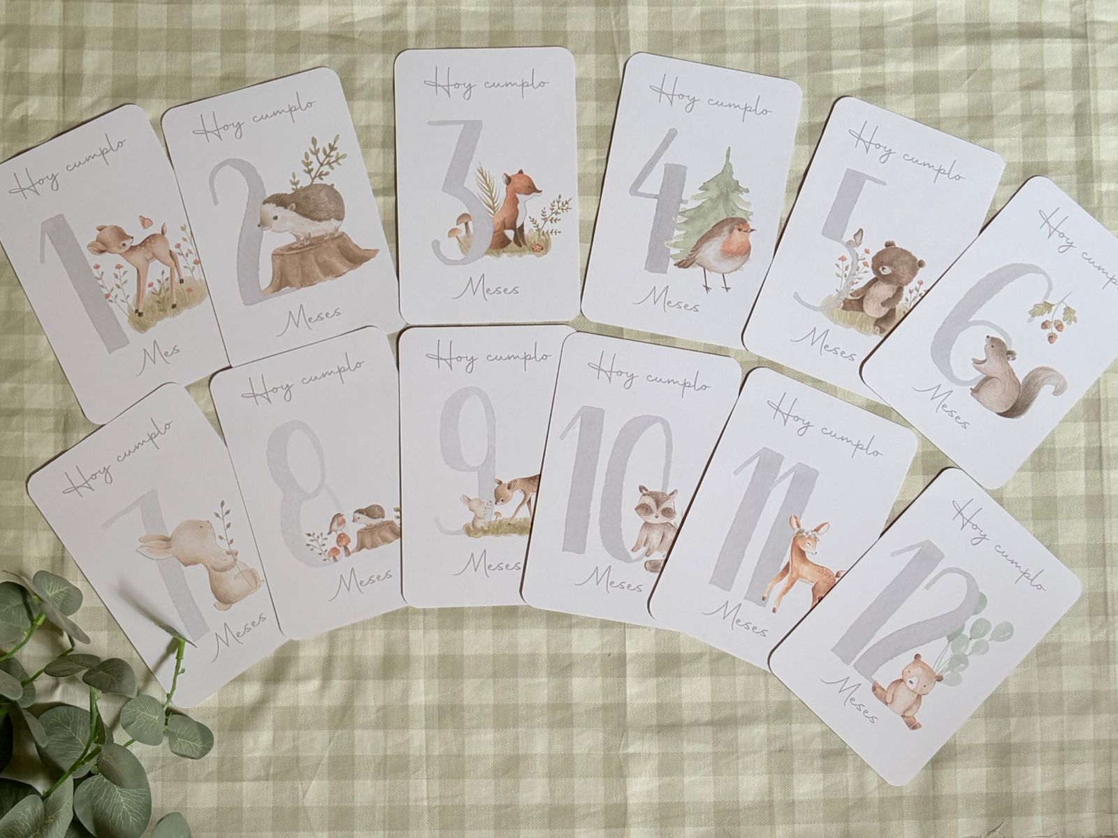 Tarjetas Meses